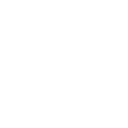 Risata logo white